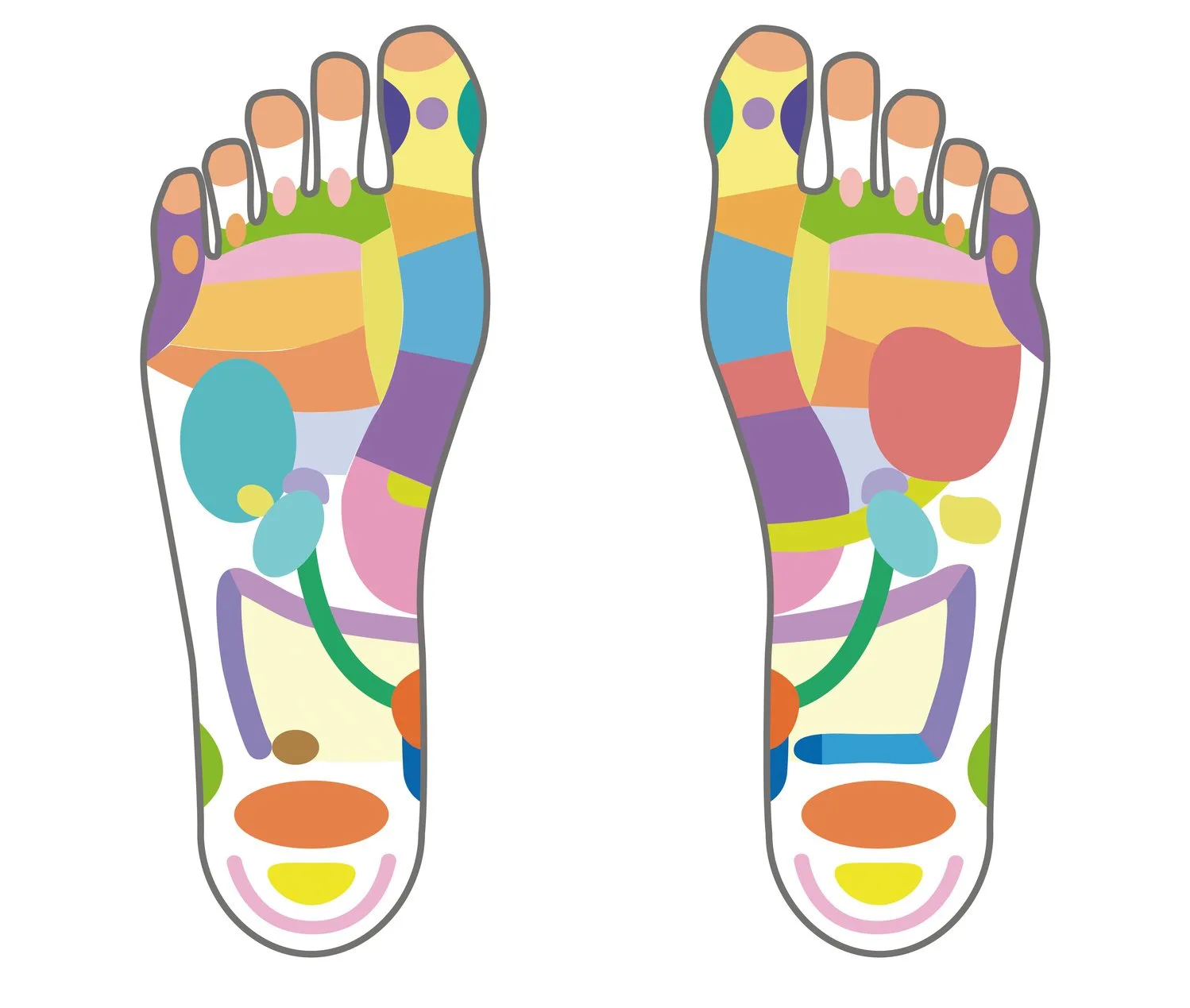 Carte des zones réflexes des pieds